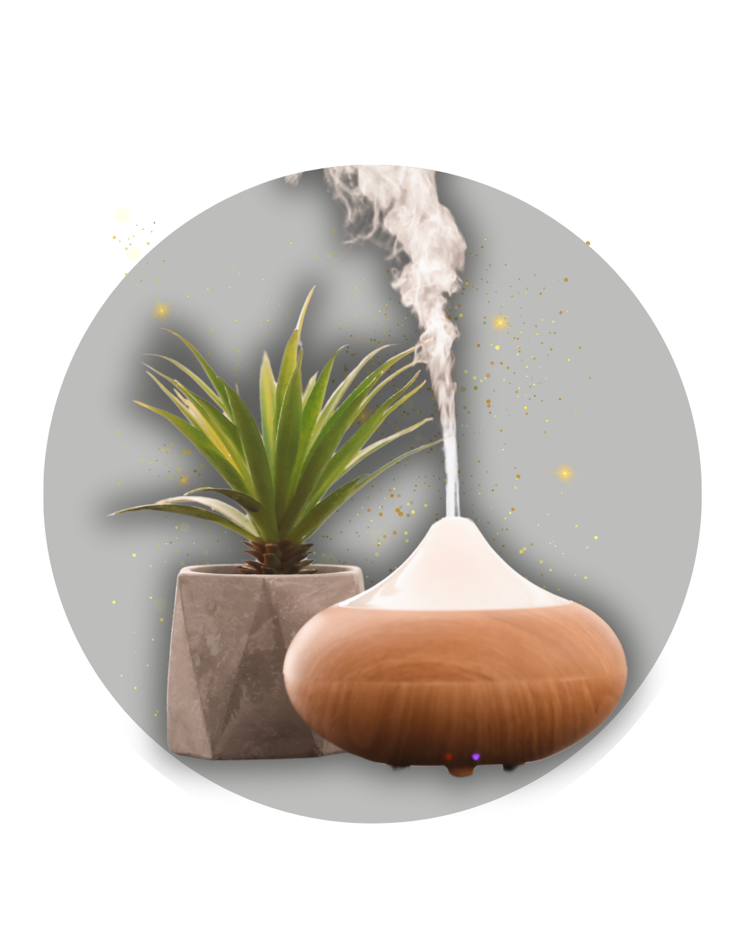 Energia Zen
