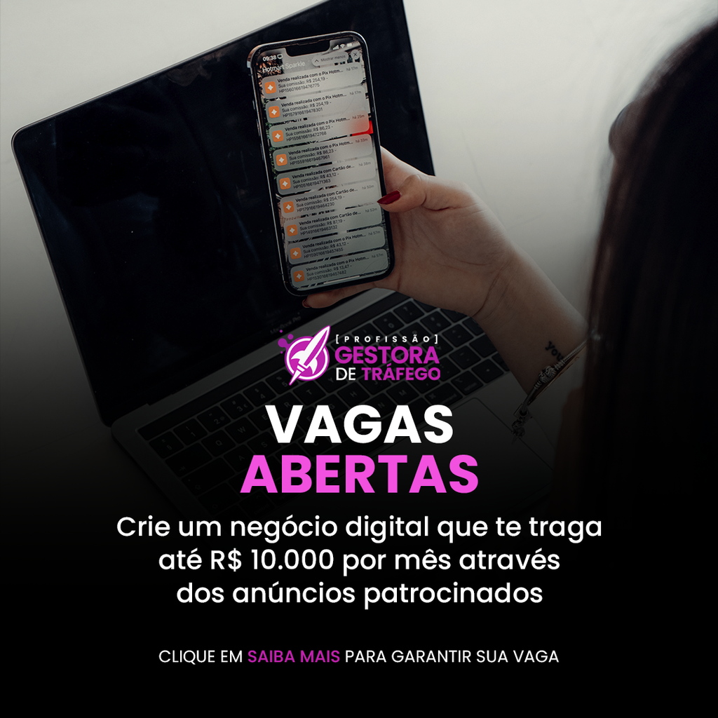 Gestora de tráfego Profissional